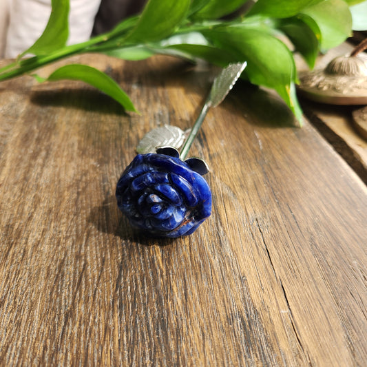 Rose en Sodalite