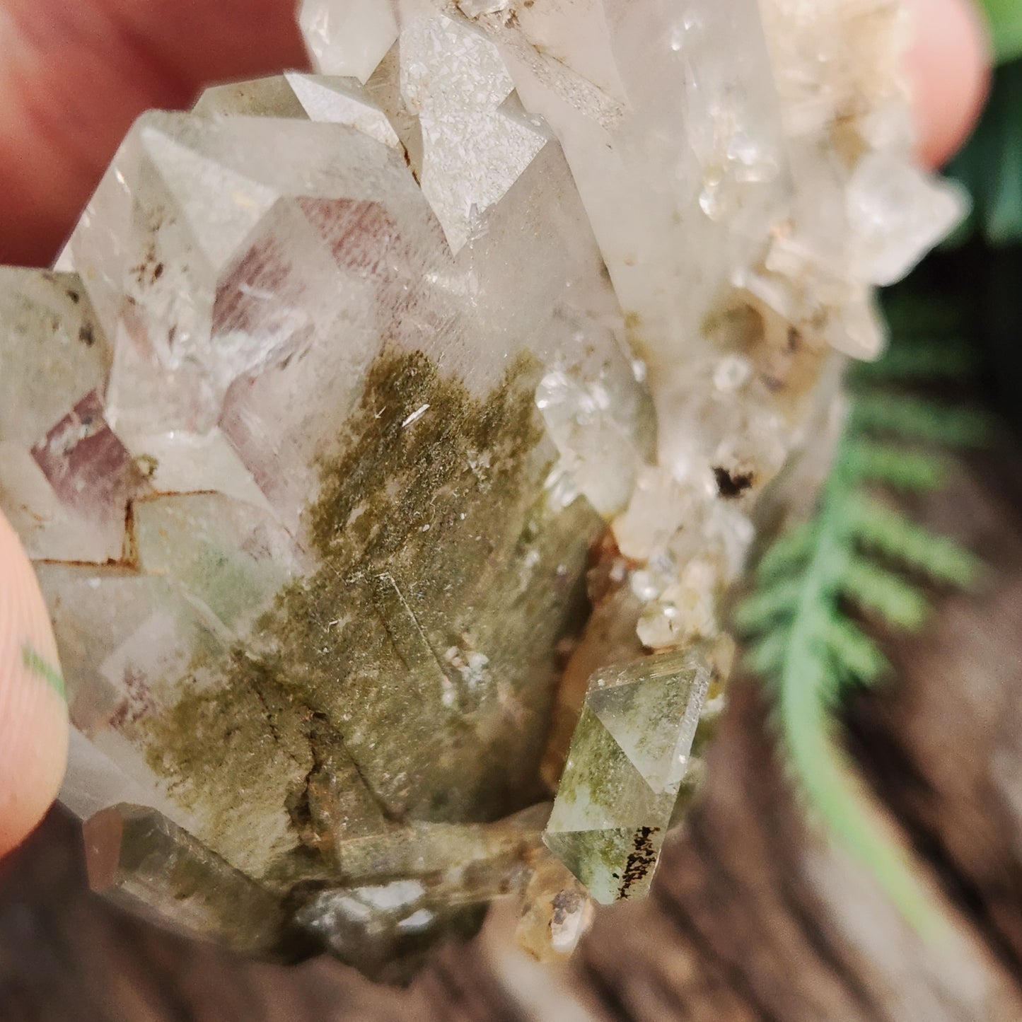 Quartz Chlorite montagne