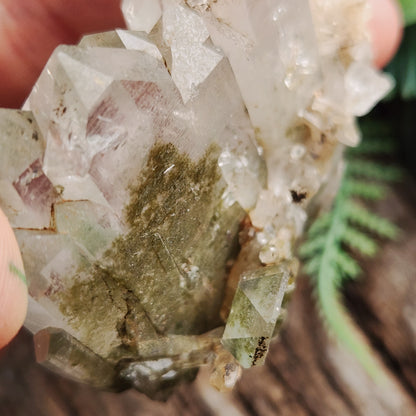 Quartz Chlorite montagne