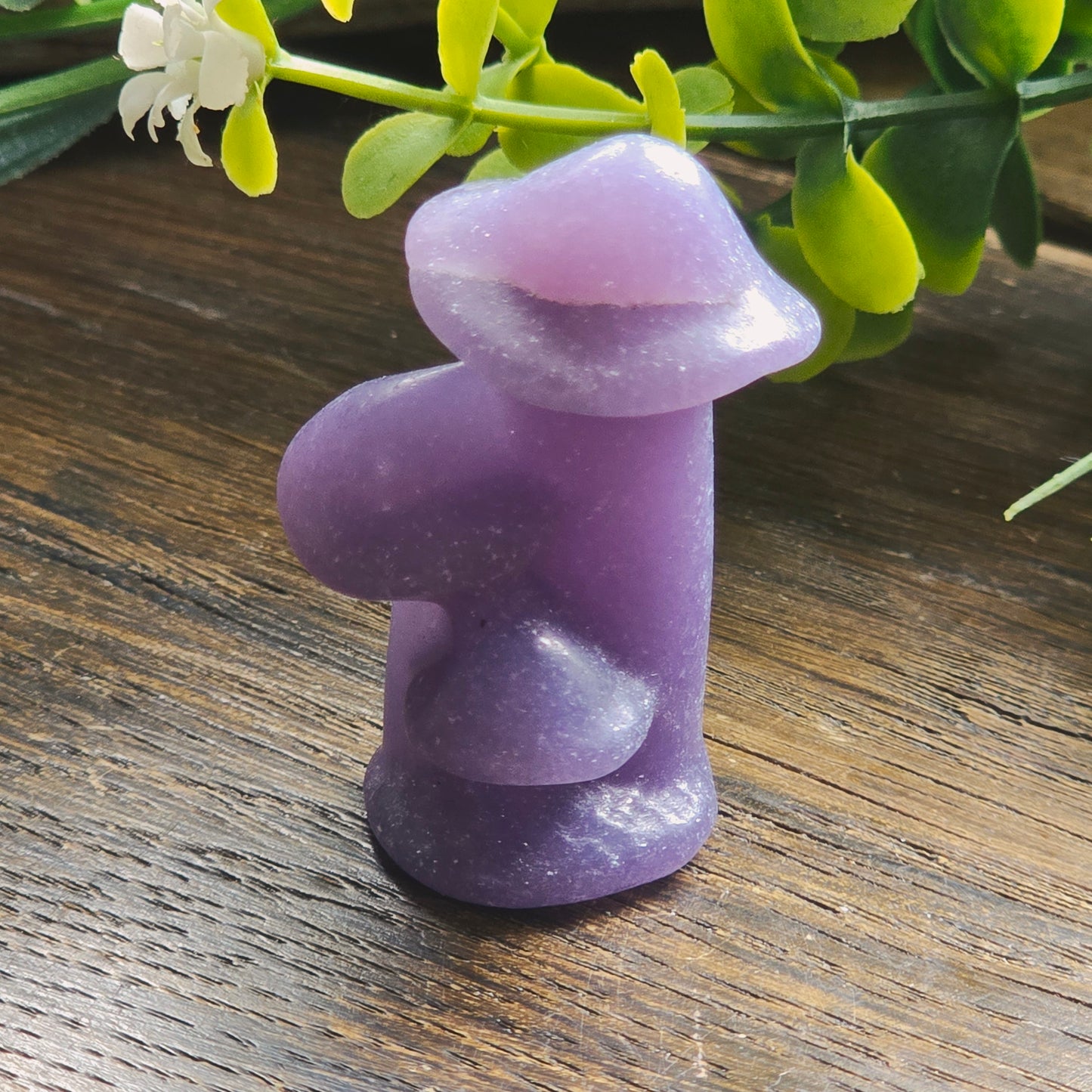 Champignons sculptés