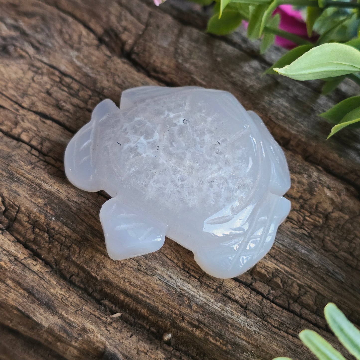 Tortue en Agate n°1