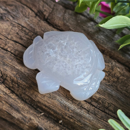 Tortue en Agate n°1