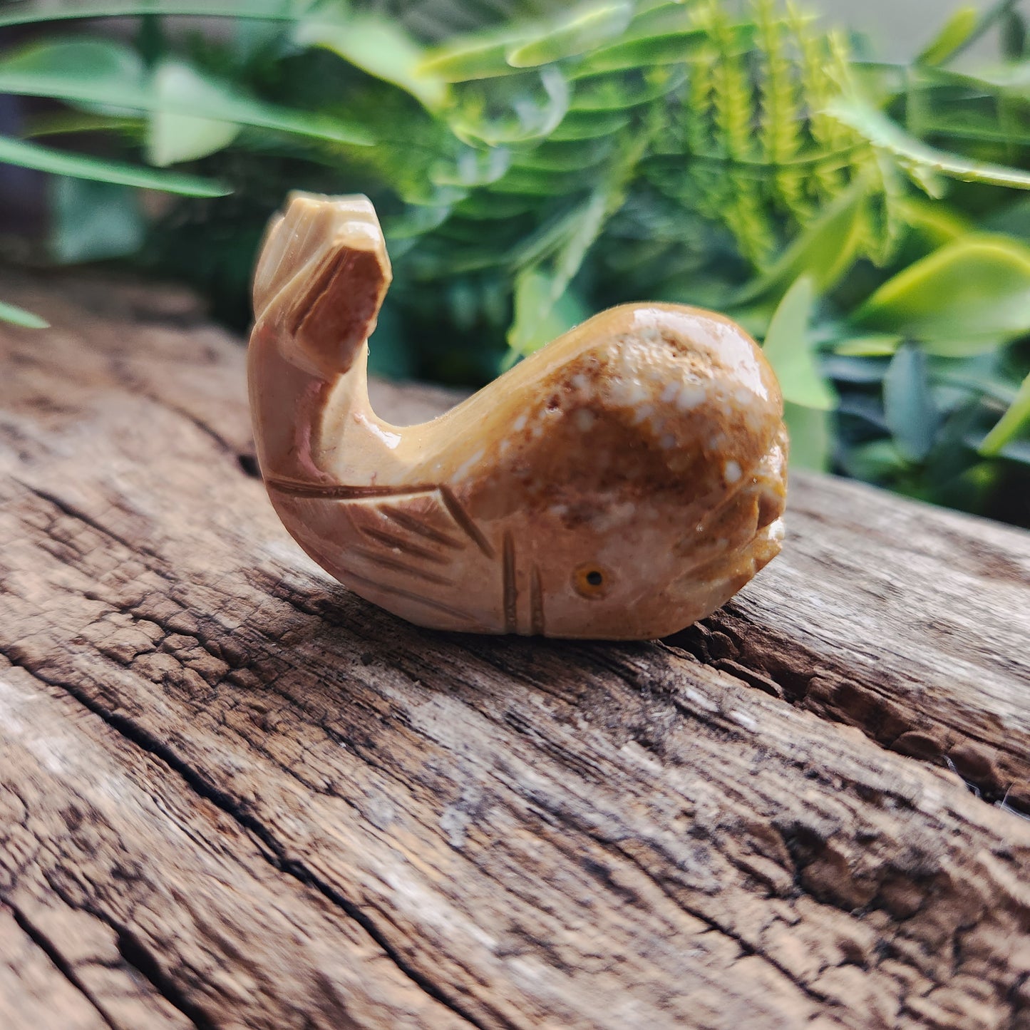 Animaux en Stéatite