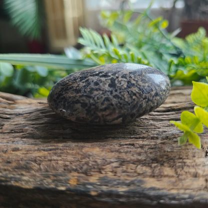 Galet en Jaspe pintade - n°3