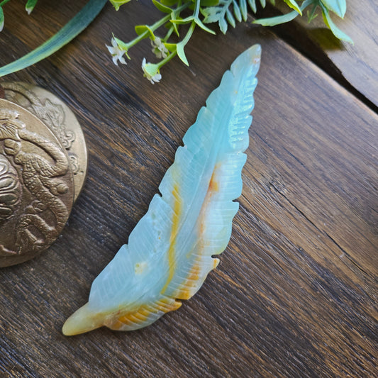 Plume en Amazonite