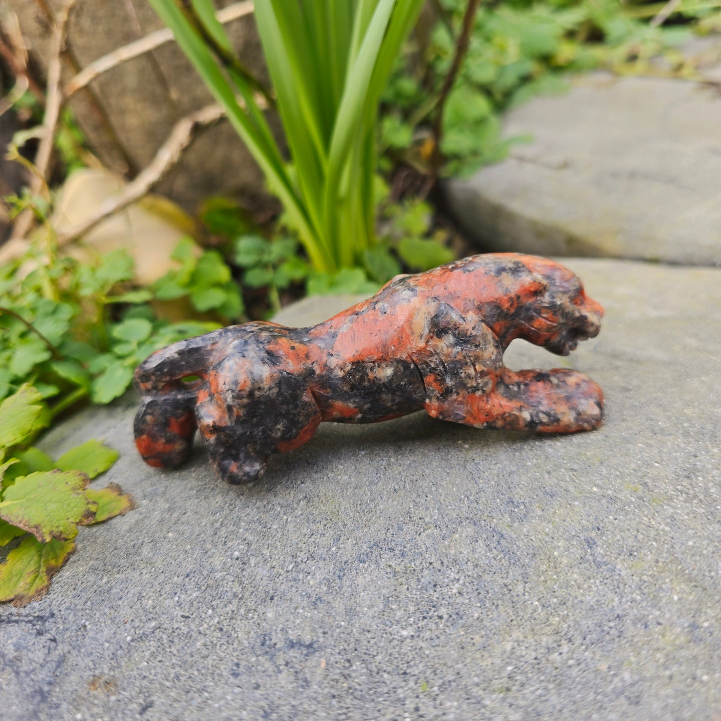 Léopard en Yooperlite - n°1