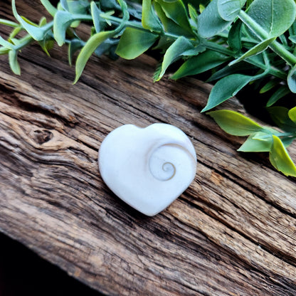 Galet "cœur" en Œil de Sainte-Lucie