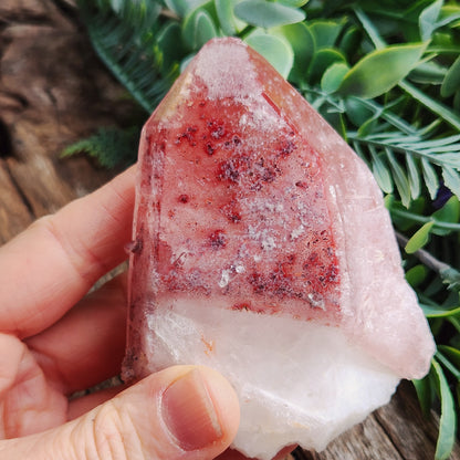 Pointe de cristal de Quartz rosé