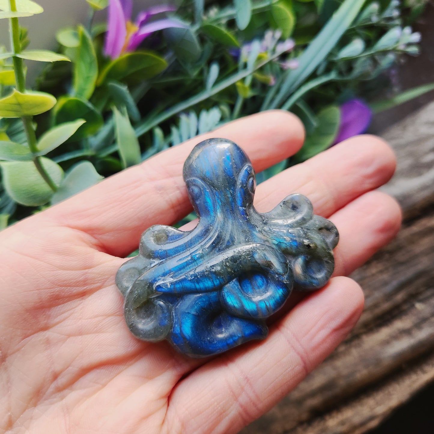 Pieuvre en Labradorite