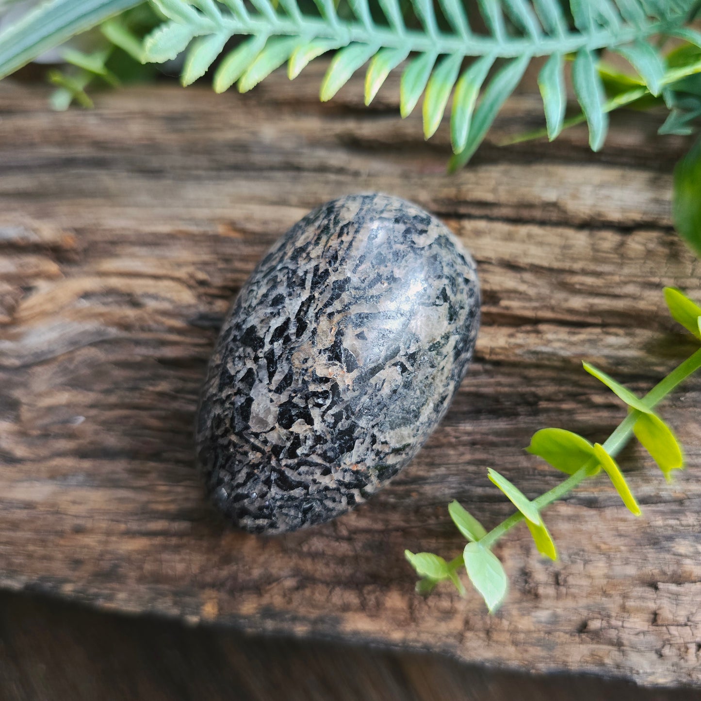 Galet en Jaspe pintade - n°3