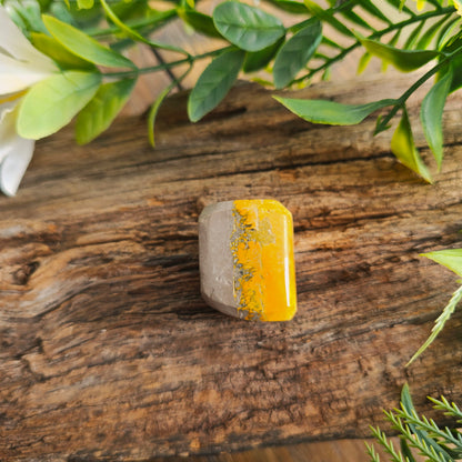 Galet en Jaspe Bumblebee - n°5