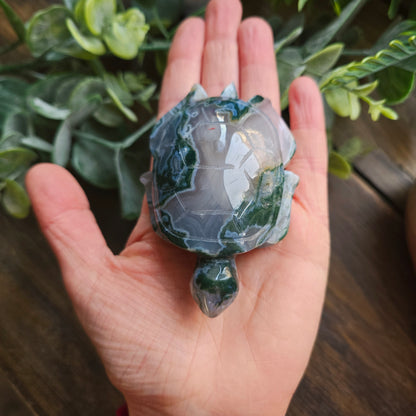 Tortue en Agate mousse