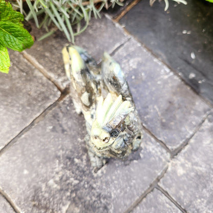 Sculpture de Dragon en Jaspe - n°4
