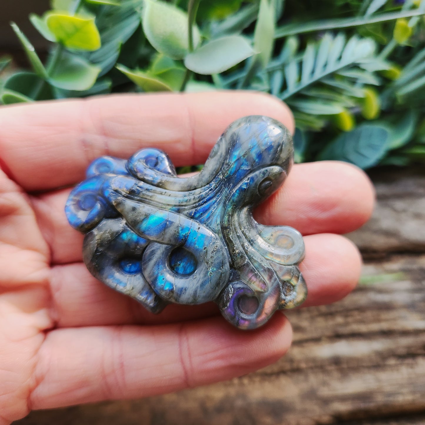 Pieuvre en Labradorite