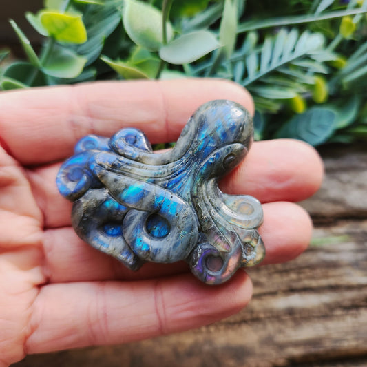 Pieuvre en Labradorite