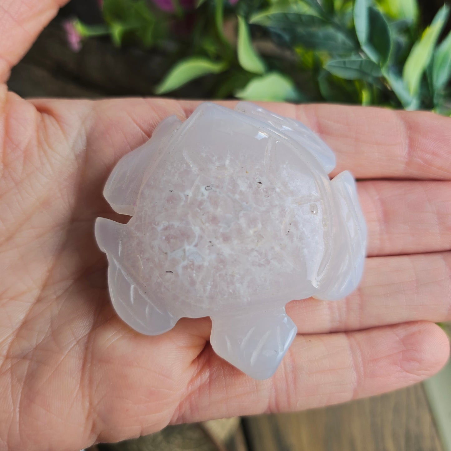 Tortue en Agate n°1