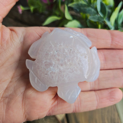 Tortue en Agate n°1