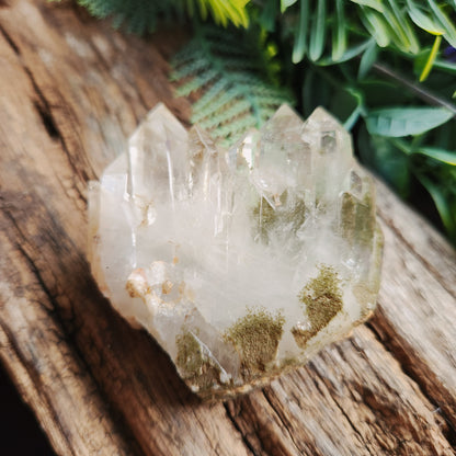 Quartz Chlorite montagne