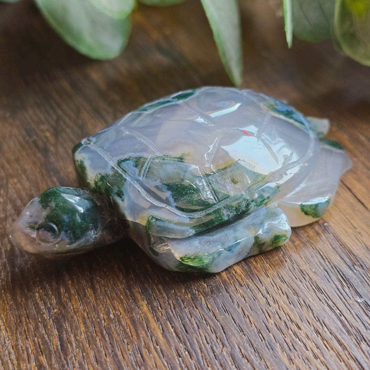 Tortue en Agate mousse