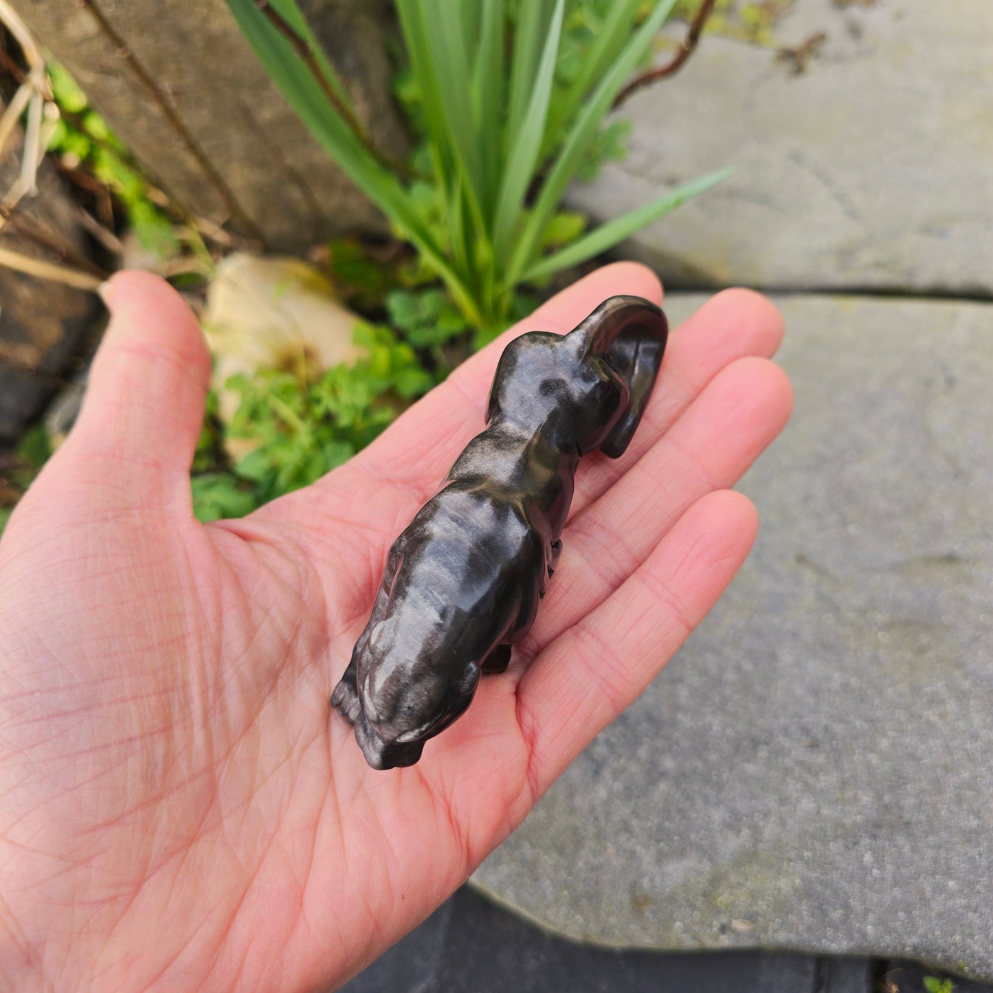 Léopard en Obsidienne argentée