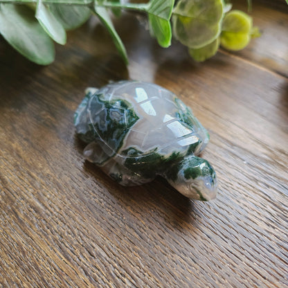 Tortue en Agate mousse