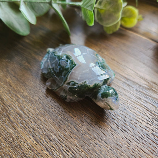 Tortue en Agate mousse