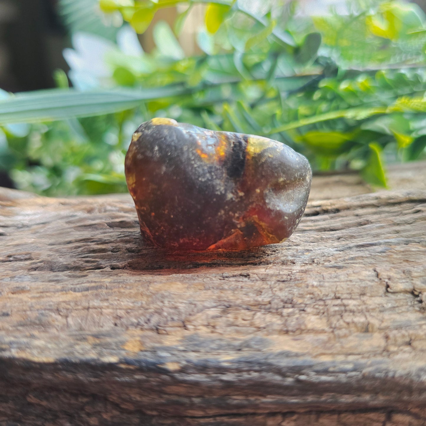 Galet en Ambre - n°4