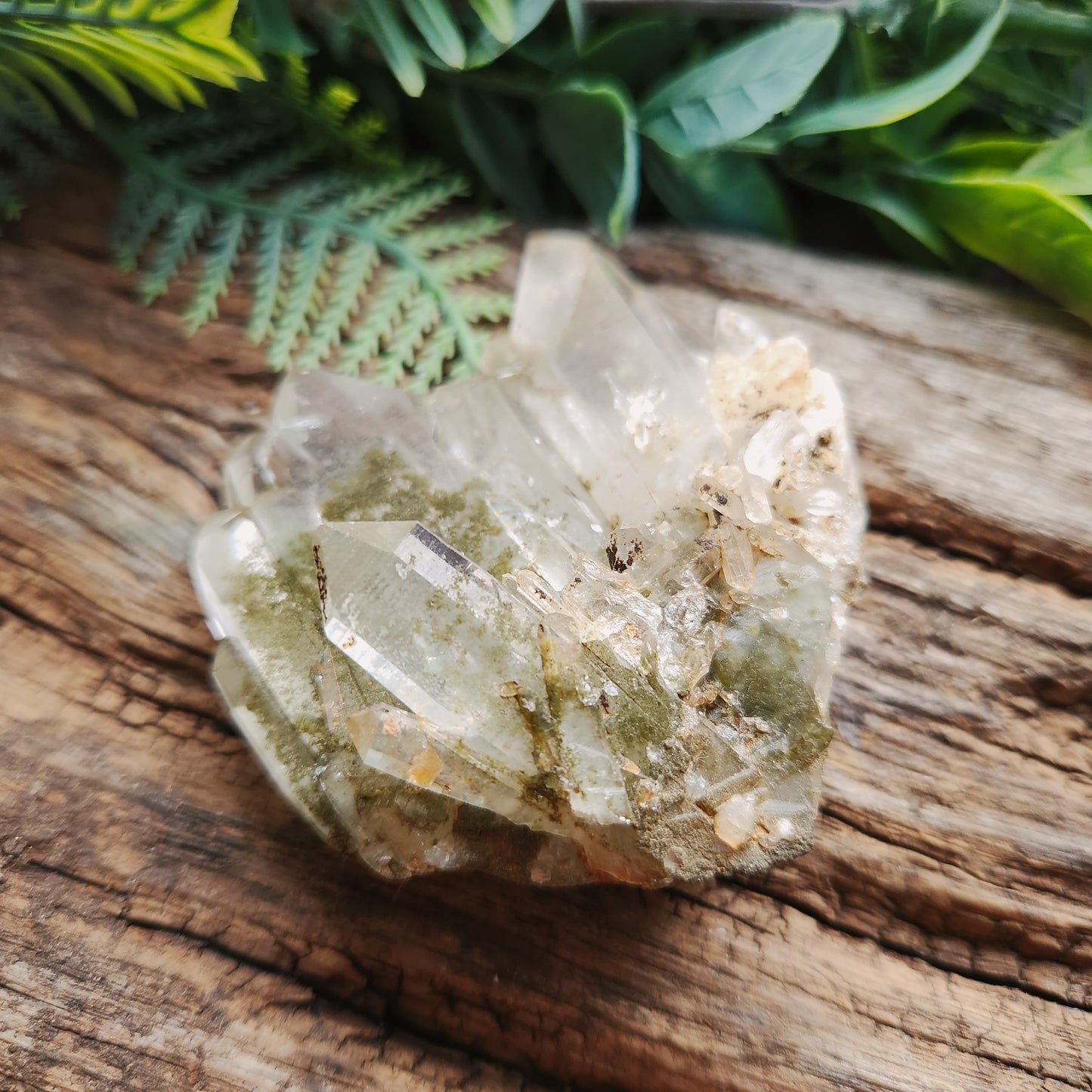 Quartz Chlorite montagne