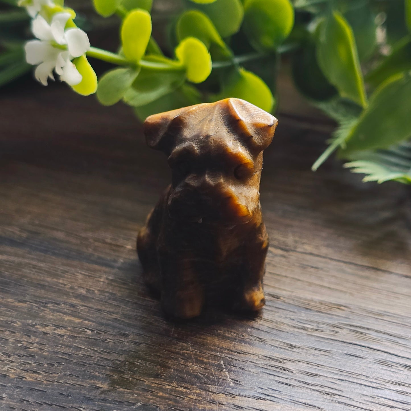Chiens sculptés