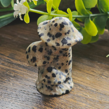 Champignons sculptés