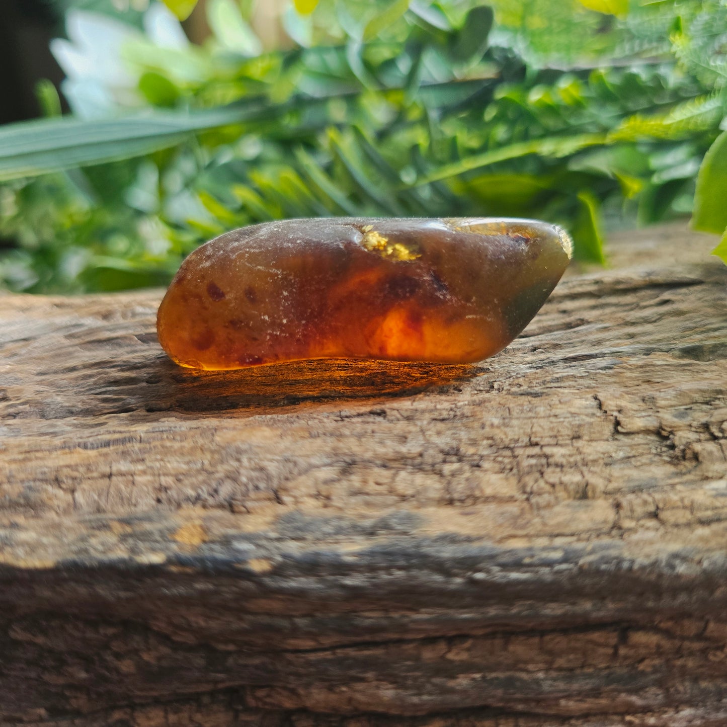 Galet en Ambre - n°2
