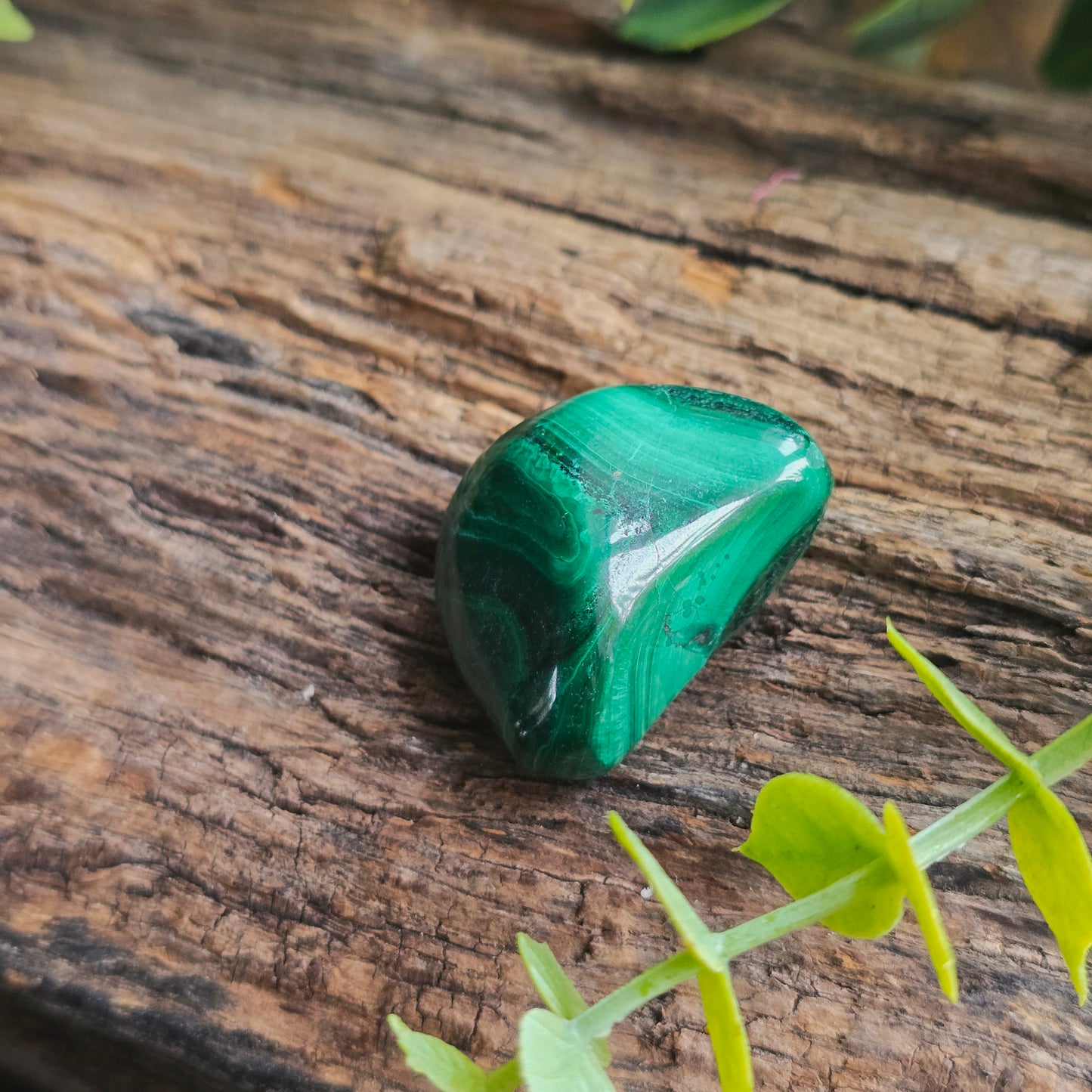 Galet en Malachite - n°1