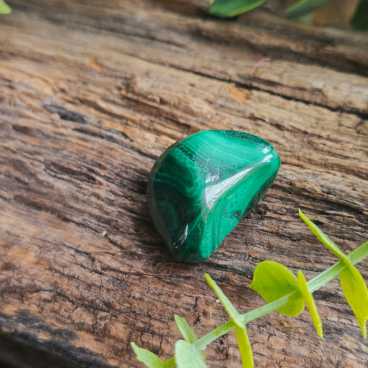 Galet en Malachite - n°1