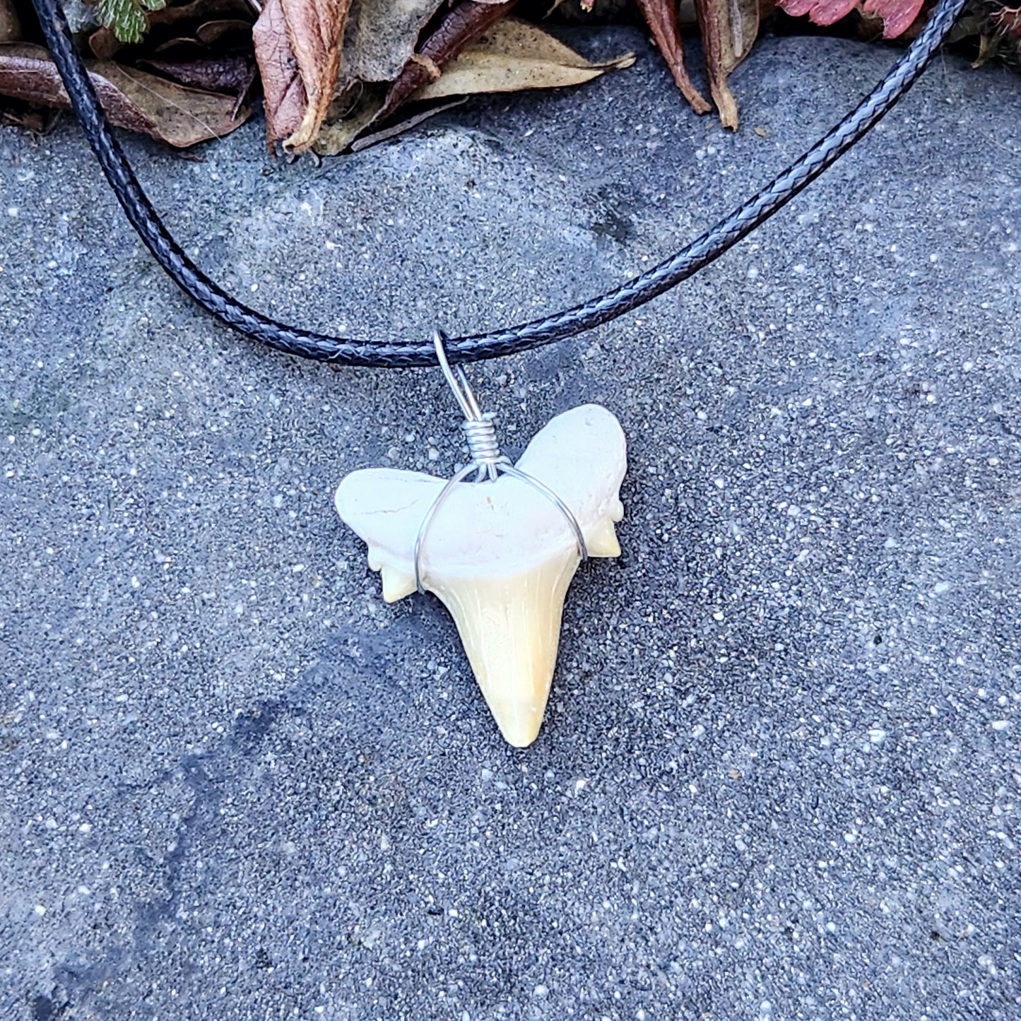 Dent de requin en collier - Beige