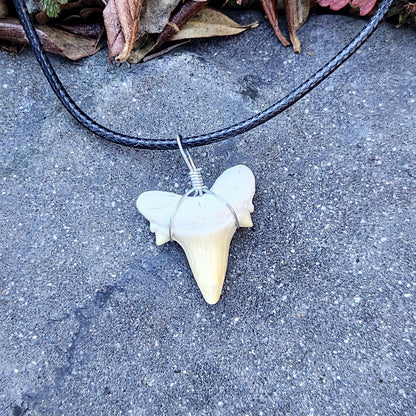 Dent de requin en collier - Beige