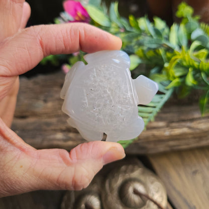 Tortue en Agate n°1