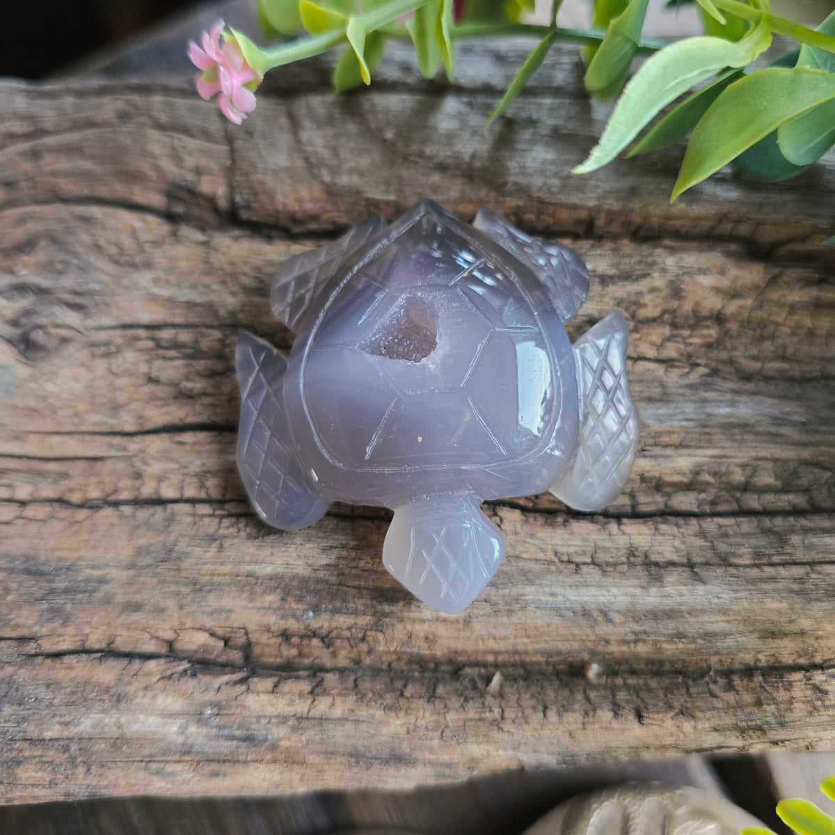Tortue en Agate n°2