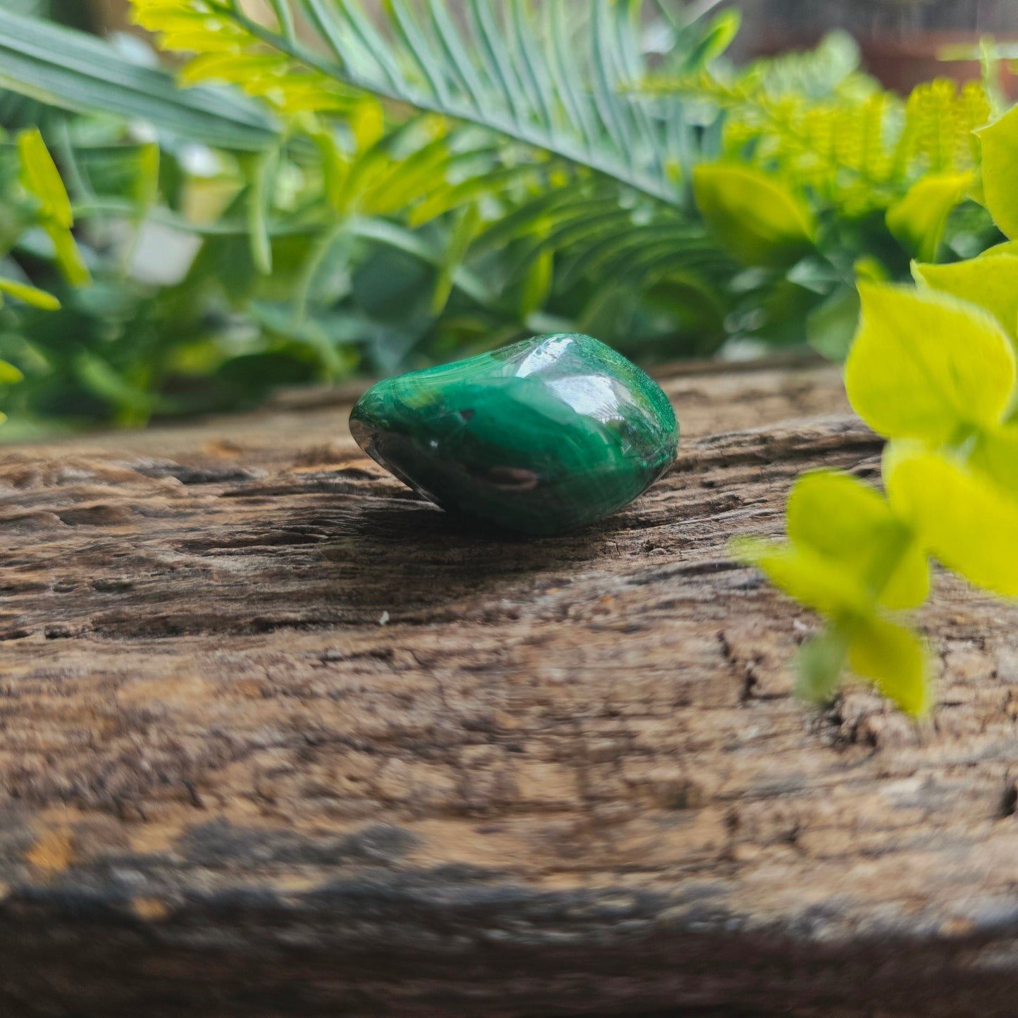 Galet en Malachite - n°1