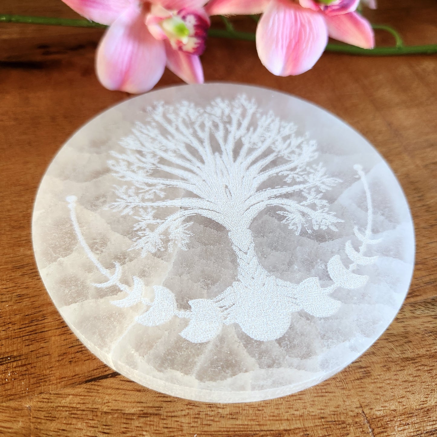 Plaque Arbre + Cycle lunaire