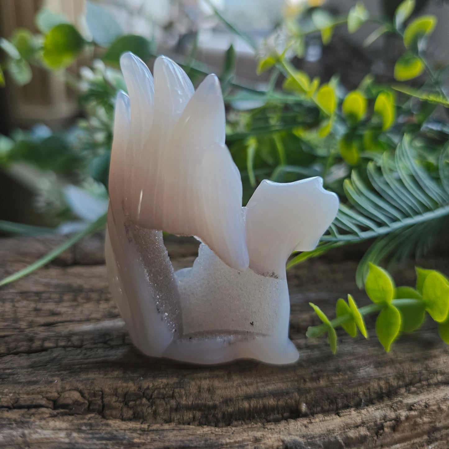 Renard en Agate n°5