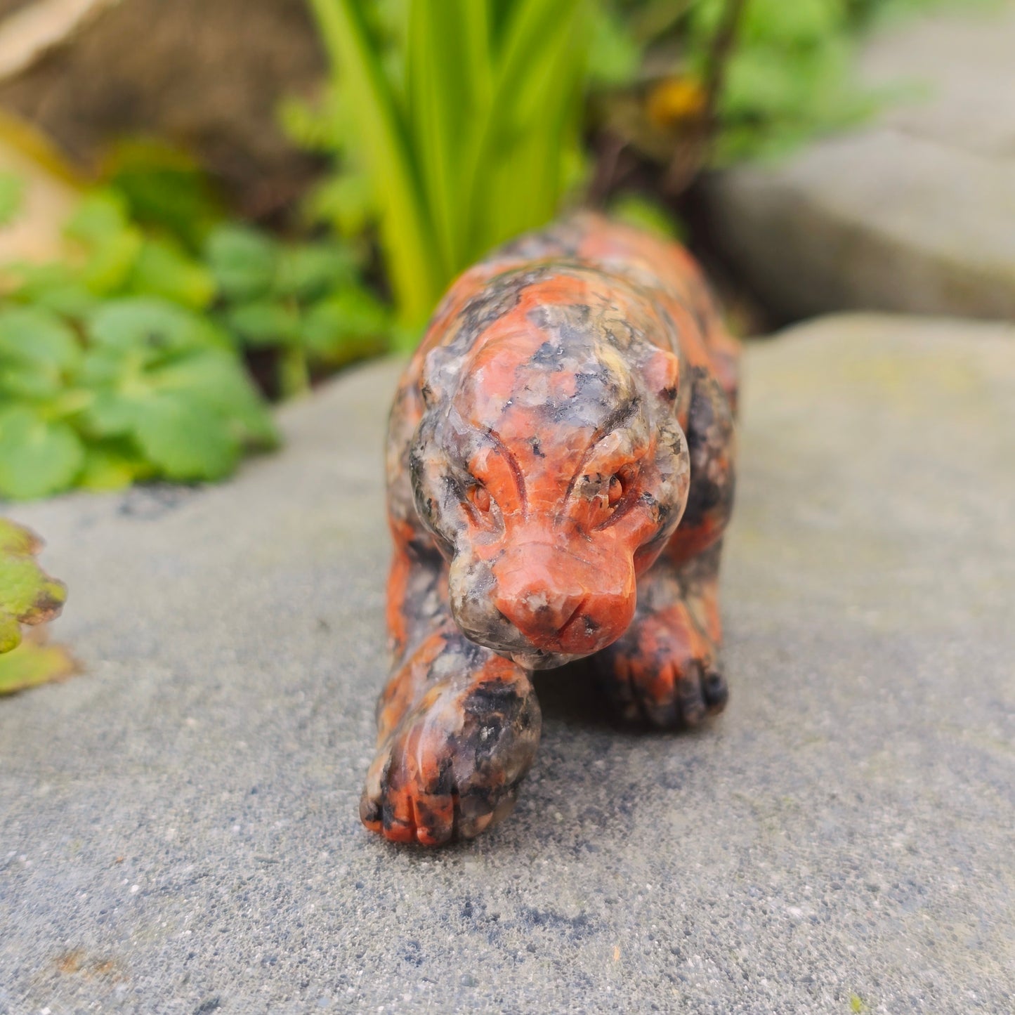 Léopard en Yooperlite - n°1