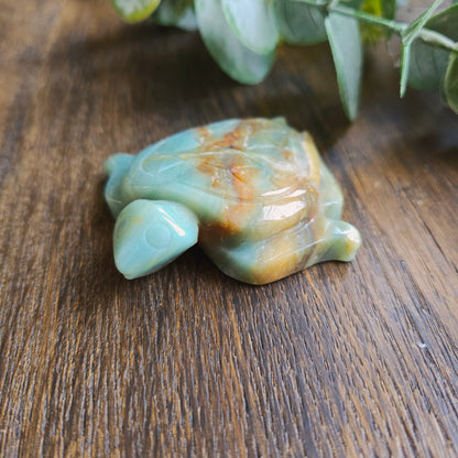 Tortue en Amazonite