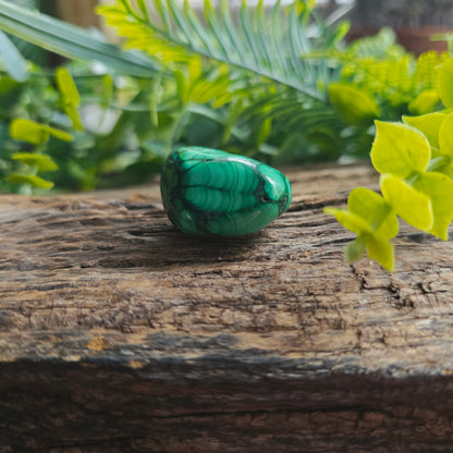 Galet en Malachite - n°4