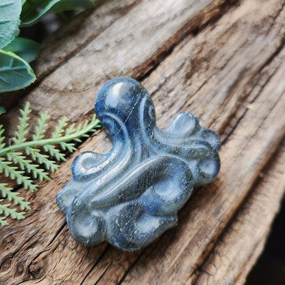 Pieuvre en Labradorite
