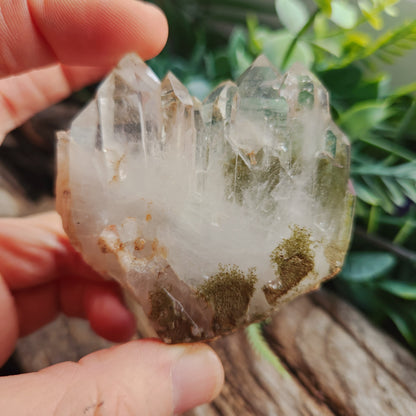 Quartz Chlorite montagne