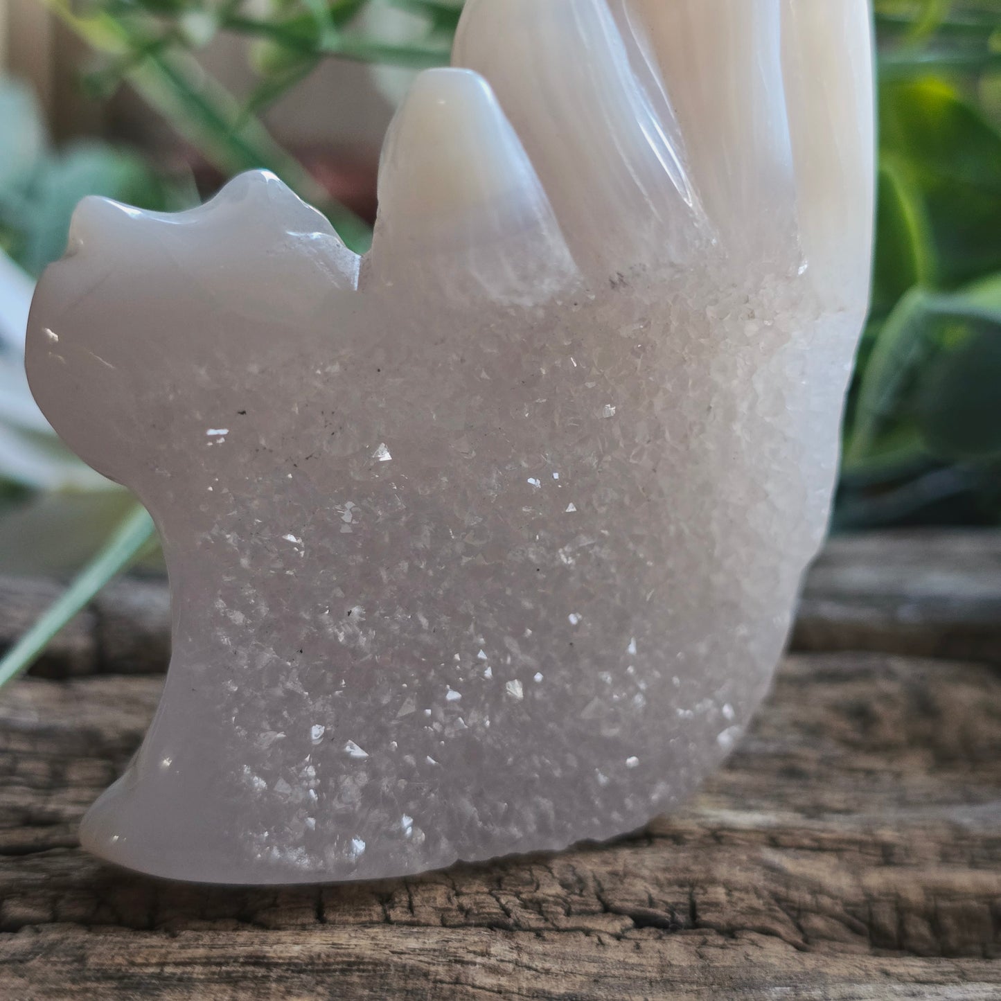 Renard en Agate n°1