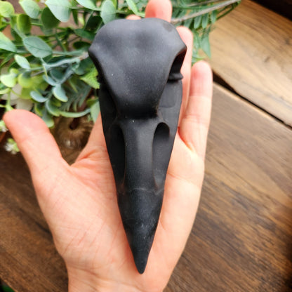 Crâne de corbeau en Obsidienne noire