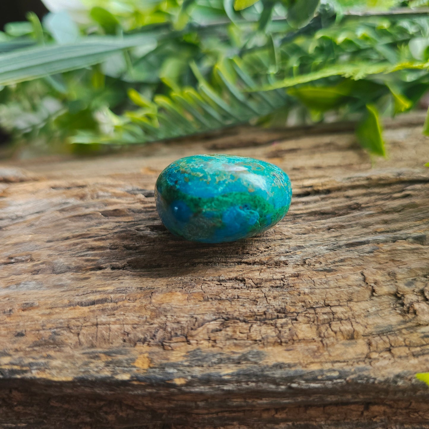 Galet en Chrysocolle - n°4