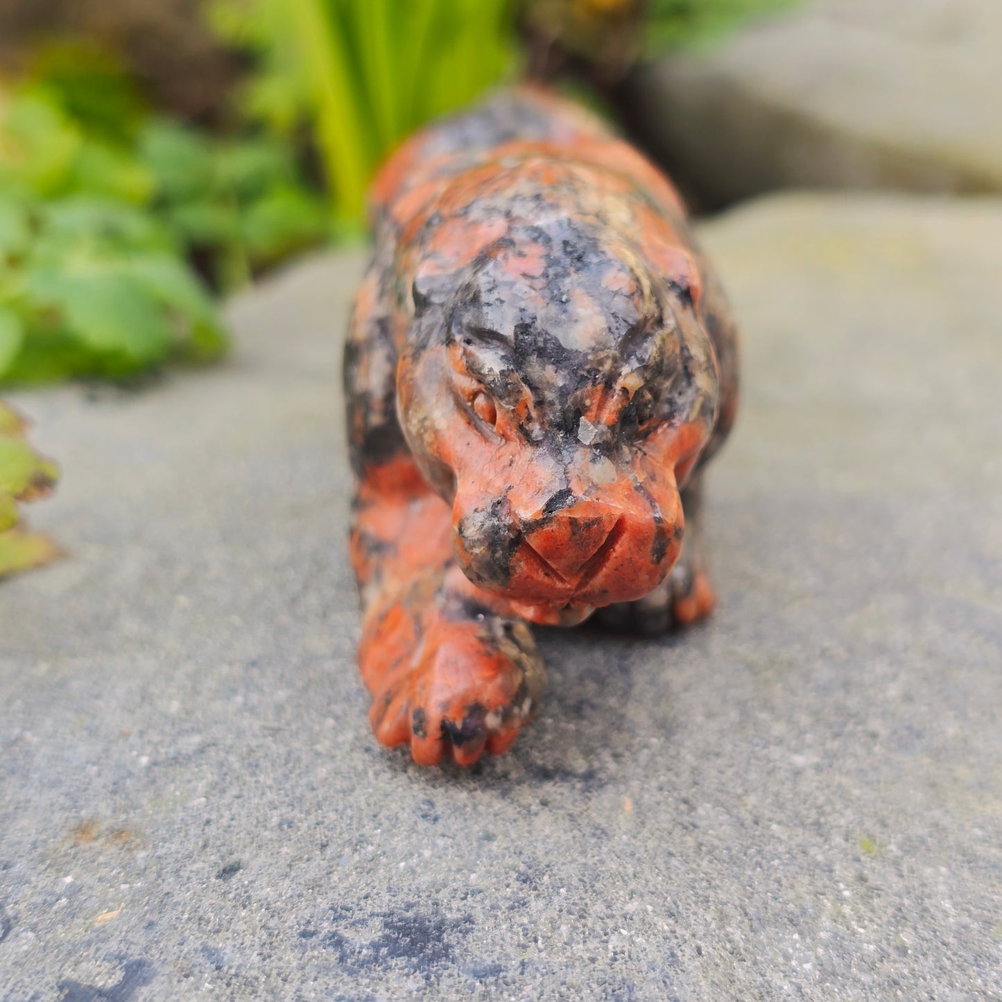 Léopard en Yooperlite - n°2