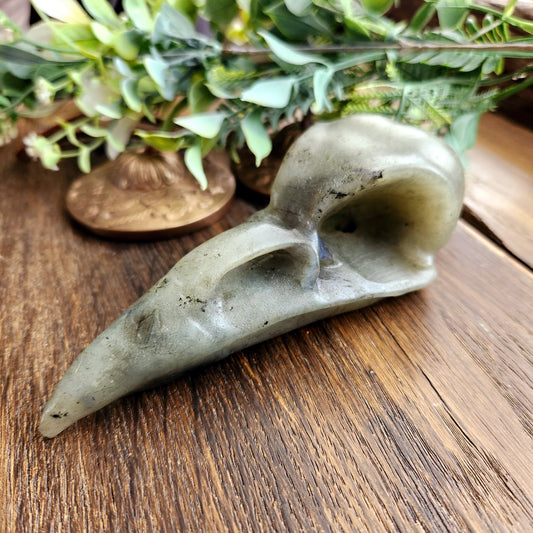Crâne de corbeau en Labradorite